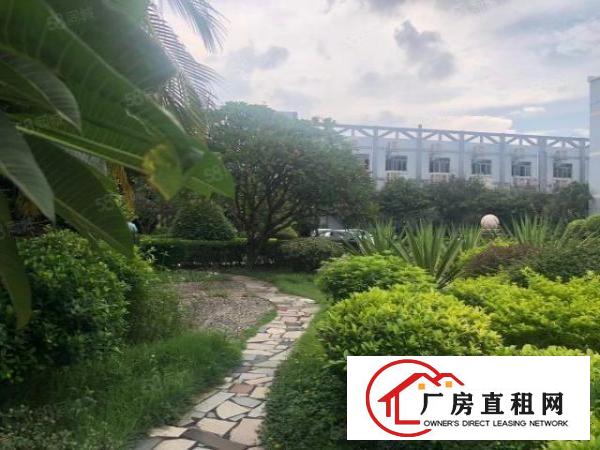  寮厦花园厂房仓库一楼三楼各3300方可分租