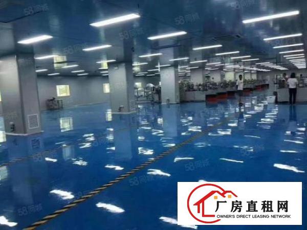  寮厦花园厂房仓库一楼三楼各3300方可分租