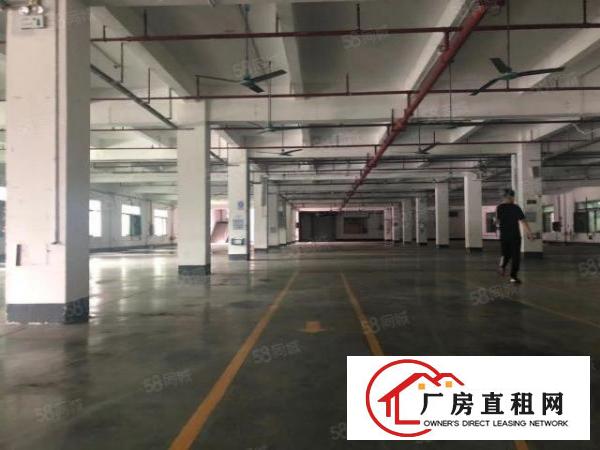 寮厦花园厂房仓库一楼三楼各3300方可分租