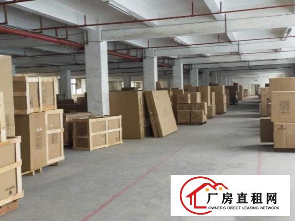  厚街新出标准独院楼房加单一层带塑胶环评厂房招租
