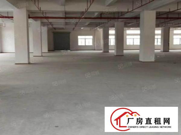  厚街原房东标准楼房3层4000平方，电315，工业用地