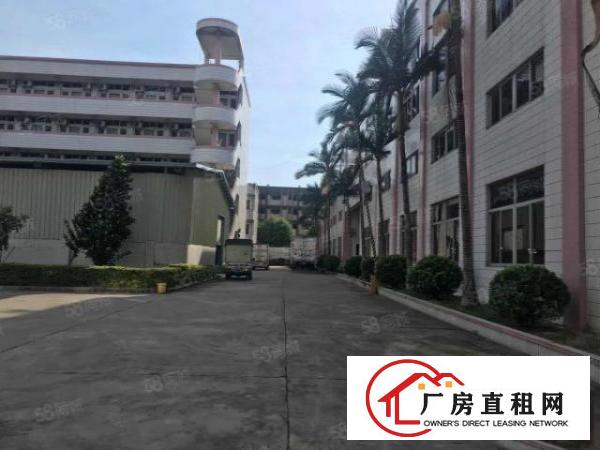  厚街厂房3000平带宿舍办公室带环评空地大