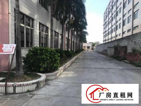  厚街厂房3000平带宿舍办公室带环评空地大