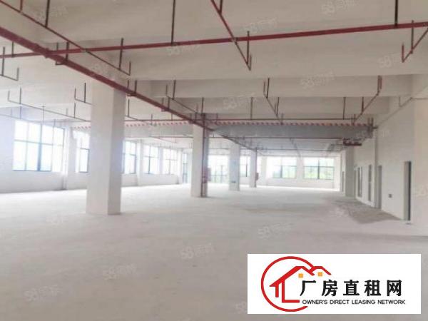  全新工业4.0厂房，厚街新建12平方全新产业园