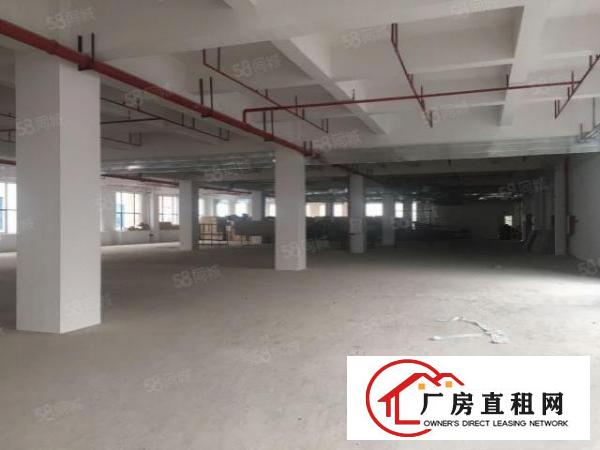  厚街陈屋园区一楼1050平厂房出租带消防喷淋精装办公室水电全