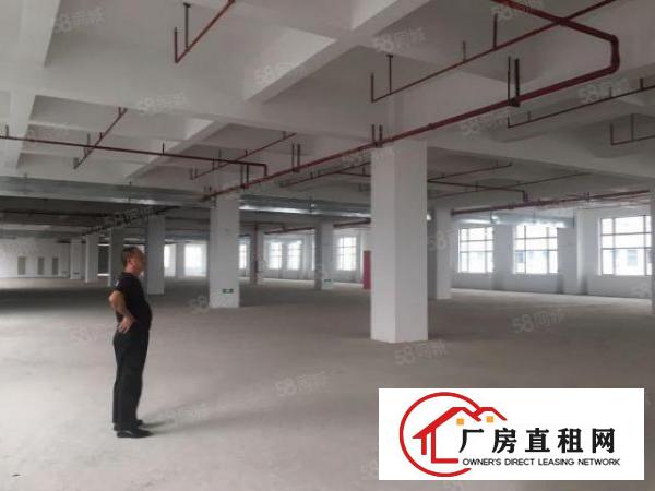  厚街陈屋园区一楼1050平厂房出租带消防喷淋精装办公室水电全