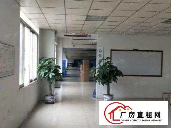  厚街陈屋园区一楼1050平厂房出租带消防喷淋精装办公室水电全