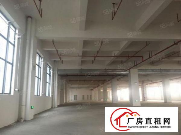  厚街陈屋园区一楼1050平厂房出租带消防喷淋精装办公室水电全