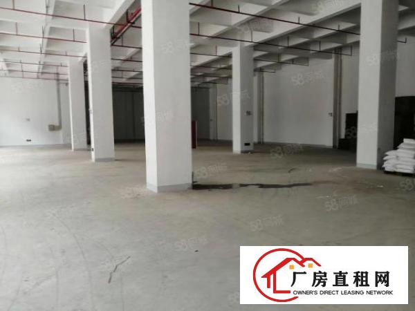  厚街镇新出新建独院厂房40000平米招租