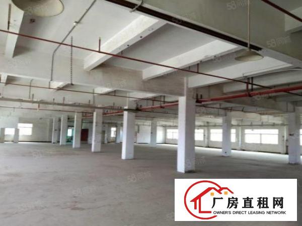  厚街下汴独院3楼的厂房，8楼的价格