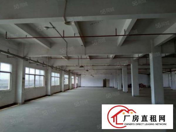  厚街下汴独院3楼的厂房，8楼的价格