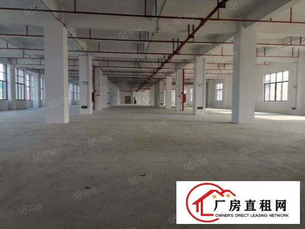  厚街下汴独院3楼的厂房，8楼的价格