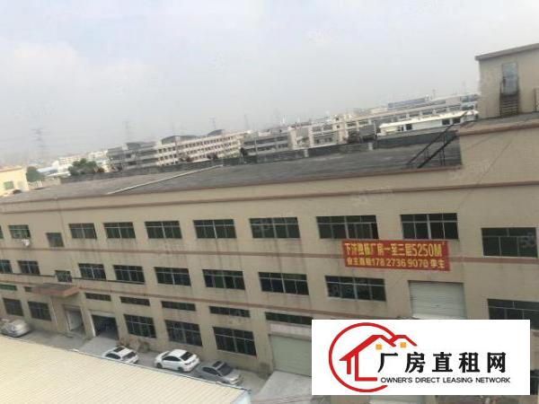  厚街下汴独院3楼的厂房，8楼的价格