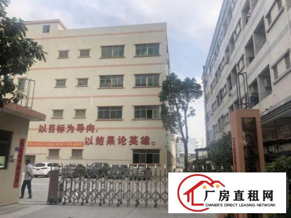  厚街下汴独院3楼的厂房，8楼的价格