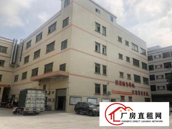  厚街下汴独院3楼的厂房，8楼的价格