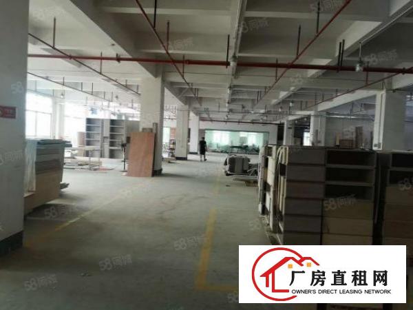  秒杀系列厚街南五15块标准厂房600平