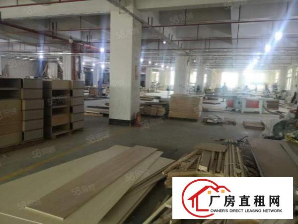  秒杀系列厚街南五15块标准厂房600平