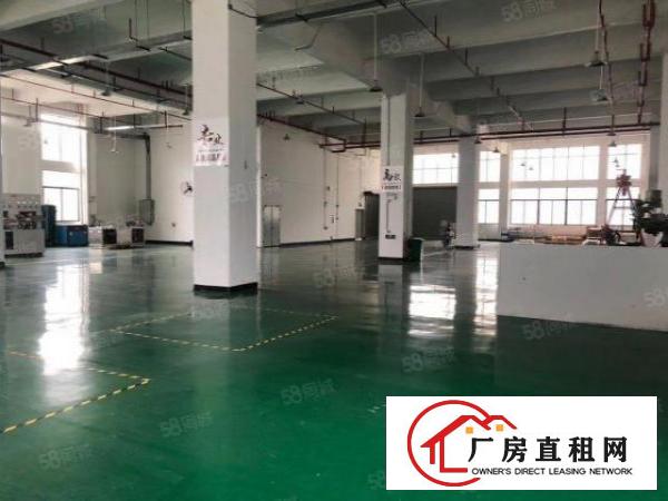  厚街新空出原房东800平方实际面积精装修厂房出租仓库出租
