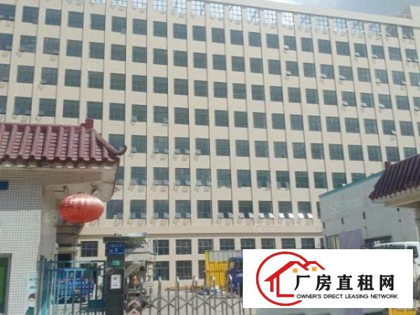  厚街新空出原房东800平方实际面积精装修厂房出租仓库出租
