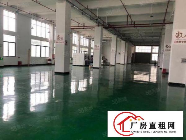  厚街新空出原房东800平方实际面积精装修厂房出租仓库出租