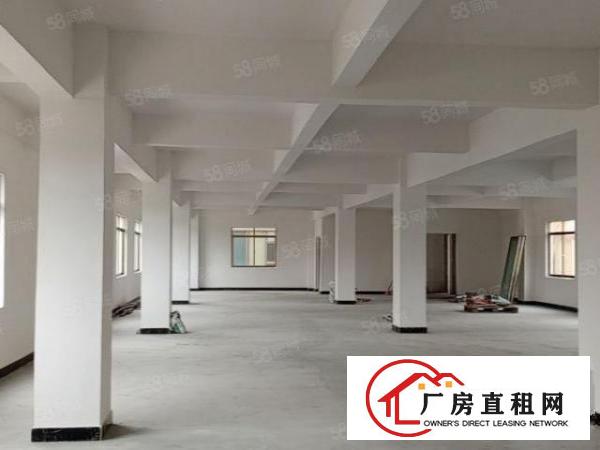  560平每层全新电梯厂房，格局方正，空地大，有吊机口