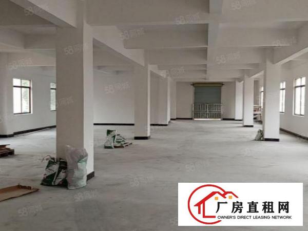  560平每层全新电梯厂房，格局方正，空地大，有吊机口