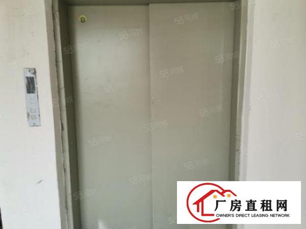  560平每层全新电梯厂房，格局方正，空地大，有吊机口