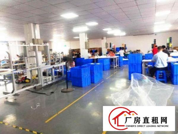  厚街下汴工业区独门独院厂房楼上一整层1500平，有洁净车间