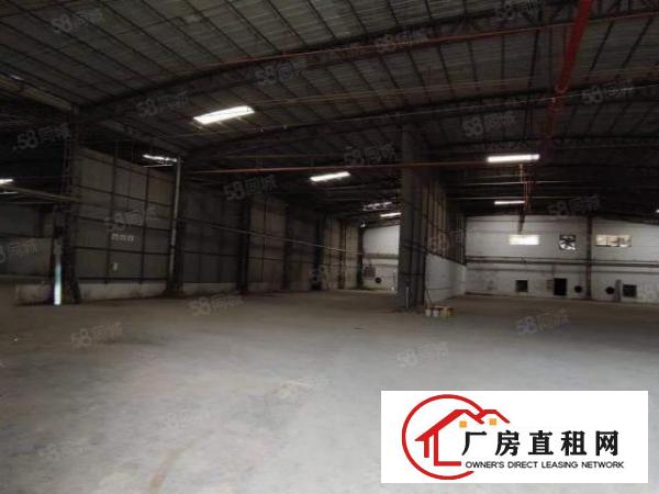 独院钢构厂房有卸货平台超大空地