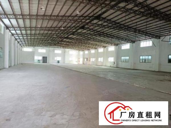  独院钢构厂房有卸货平台超大空地