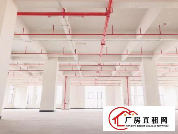  厚街新造，3300平方高端厂房出租，近高速入口，可分租可整租