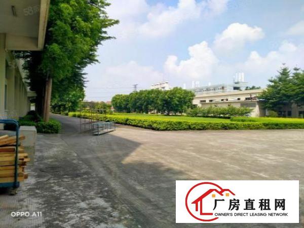  东莞厚街靠虎门花园式独门独院原房东带红本豪装超大空地低价出租