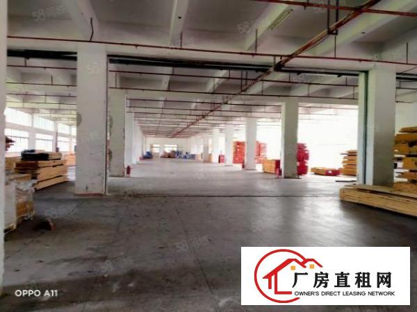  东莞厚街靠虎门花园式独门独院原房东带红本豪装超大空地低价出租