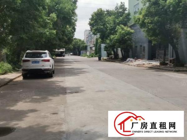  厚街新出原房东独院厂房出租
