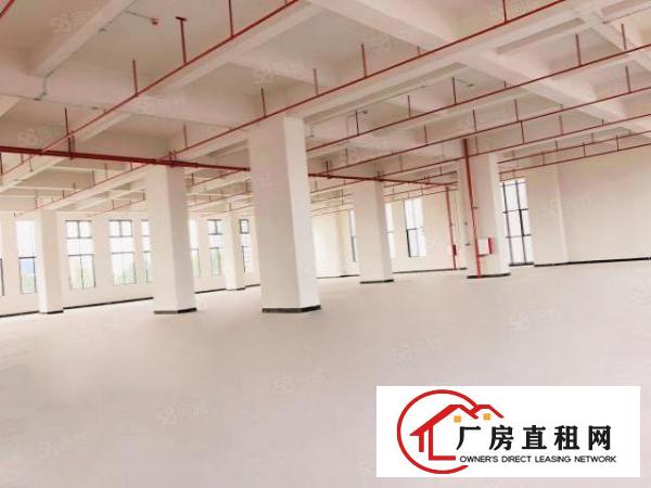  出租！近地铁，专人管理园区，整栋8层，每层3300方，可分租