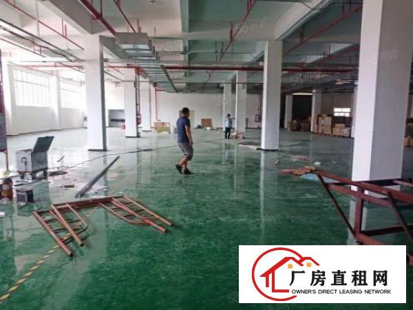  厚街新建工业园区一楼7米高1200平厂房出租仓库出租