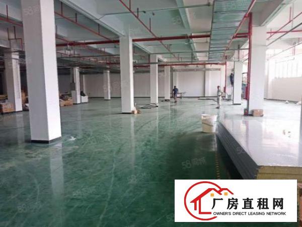  厚街新建工业园区一楼7米高1200平厂房出租仓库出租