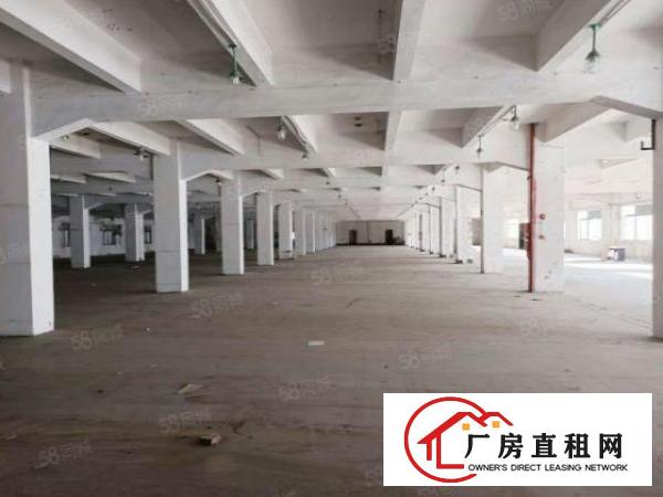  厚街新出小独院2100平整租4500元月形象好