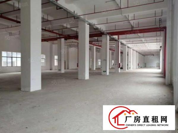  全新厂房，带地板漆，超大电梯