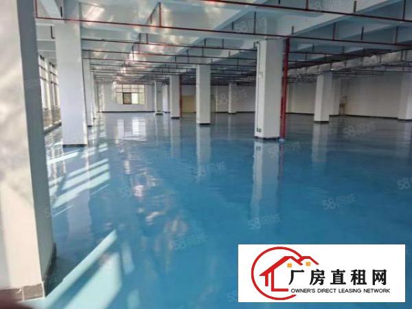  全新厂房，带地板漆，超大电梯