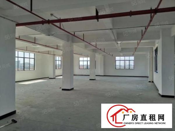  厚街全新厂房特价9.9元起租！单层可分租两家，两头有三吨货梯