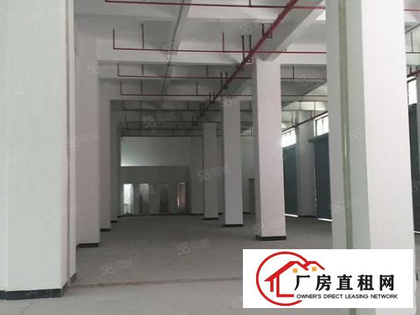  厚街全新厂房特价9.9元起租！单层可分租两家，两头有三吨货梯