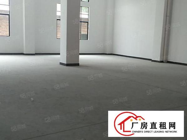  厚街全新厂房特价9.9元起租！单层可分租两家，两头有三吨货梯
