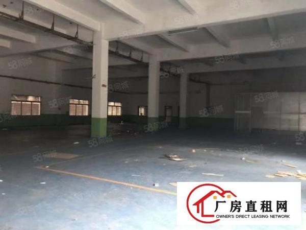  厚街原房东单一层铁皮1400平出租厂房空地大厂库