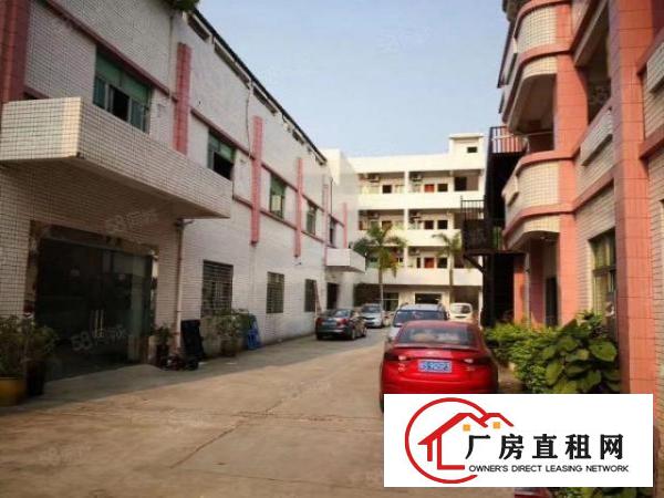  厚街原房东单一层铁皮1400平出租厂房空地大厂库