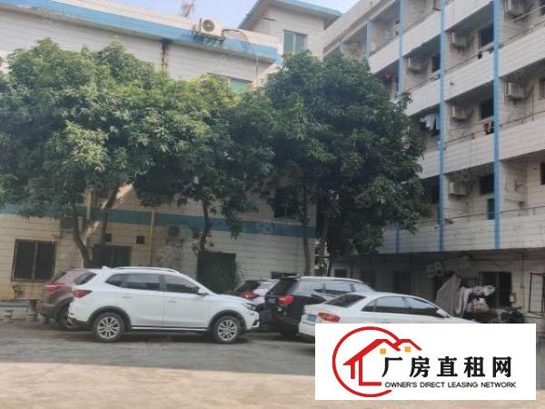  一楼实际面积2000平方，厂房空地大，合同期限长！！！