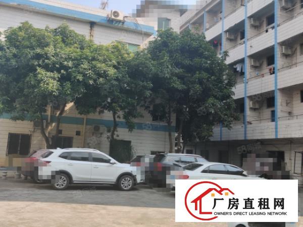  一楼实际面积2000平方，厂房空地大，合同期限长！！！