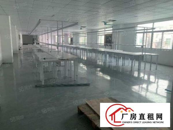  南环路边上精装修厂房招租！交通便利人气旺