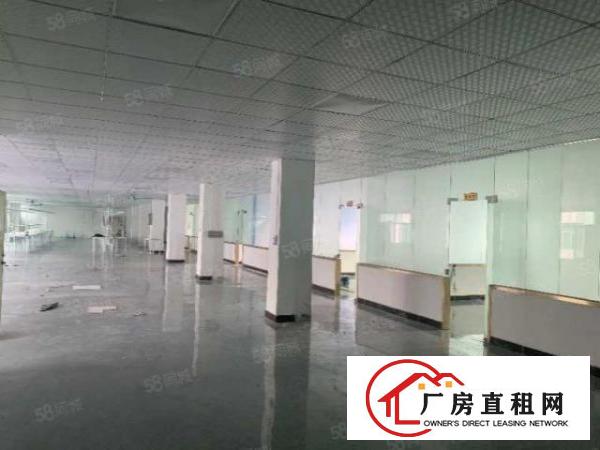  南环路边上精装修厂房招租！交通便利人气旺