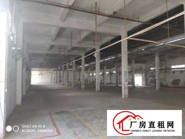  厚街溪头独门独院4000平钢构厂房出租带消防喷淋宿舍办公室